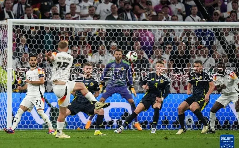 如何有效退出爱运动的订阅赛事服务？