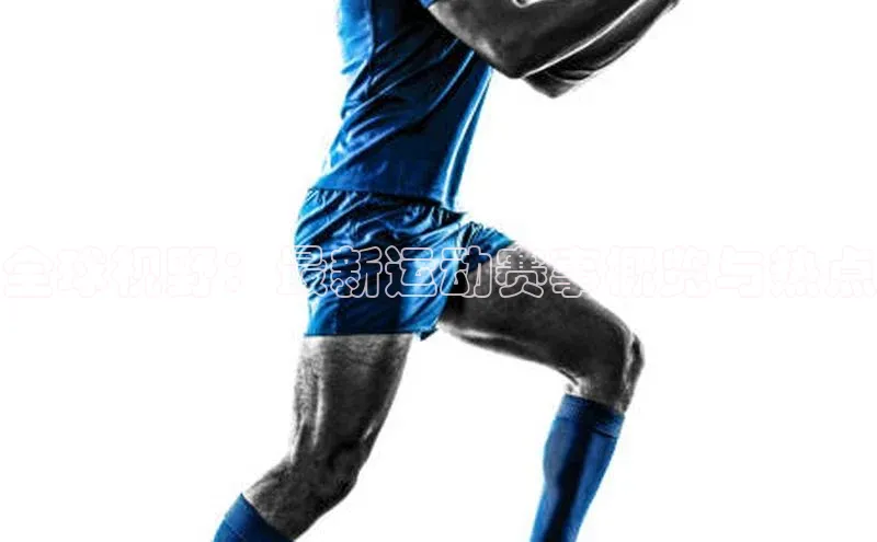 全球视野：最新运动赛事概览与热点