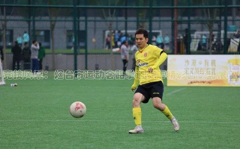 竞技风采：烟台市运动会跆拳道赛事精彩回顾与展望