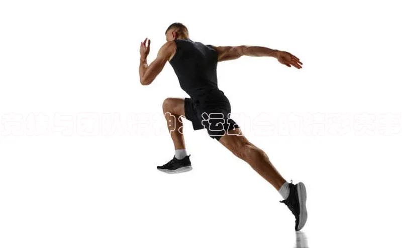 竞技与团队精神：运动会的精彩赛事