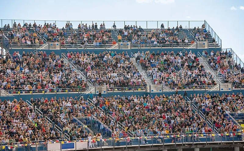 超越极限：专业赛事运动鞋垫的革命性创新与功能设计