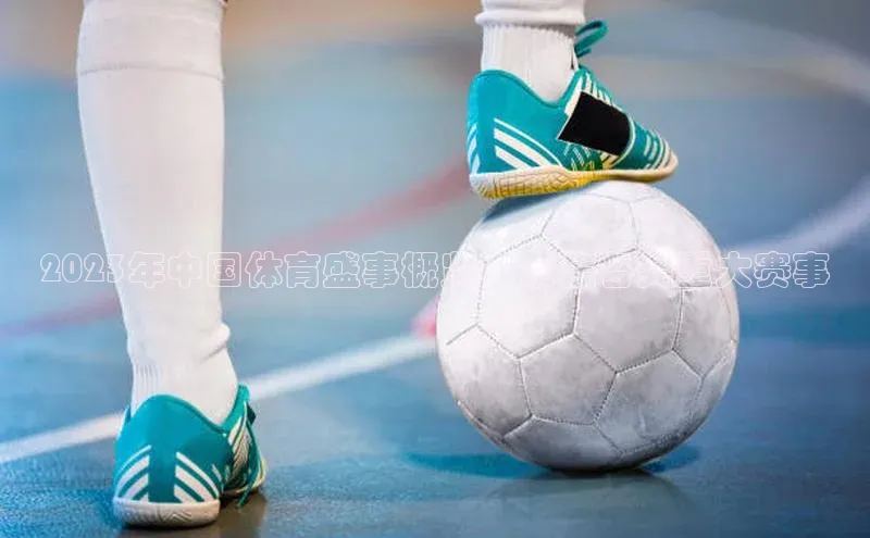 2023年中国体育盛事概览：聚焦各类重大赛事