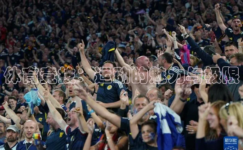 体育竞技：运动的魅力与极限