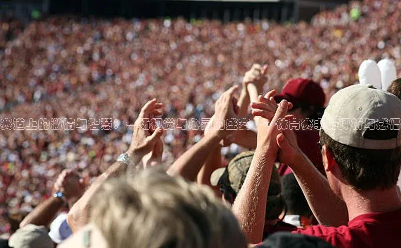 赛道上的激情与智慧：一场视觉与心灵的盛宴——体育赛事的评析与感悟