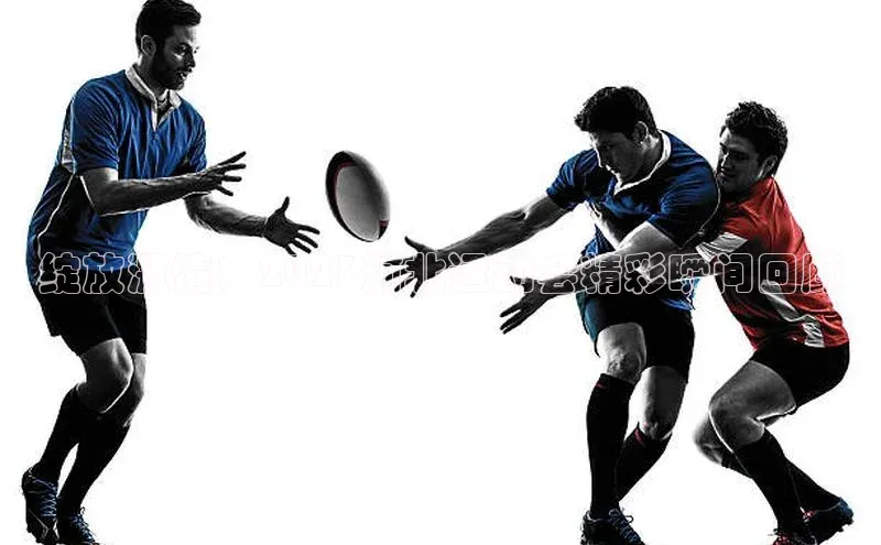 绽放激情：2023河北运动会精彩瞬间回顾