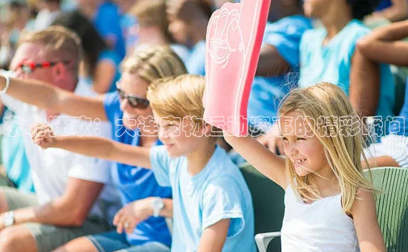东北狂欢：大连宠物运动赛事的精彩瞬间