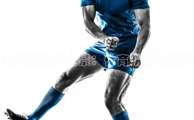 全运动赛事全景：体育精神的旅程