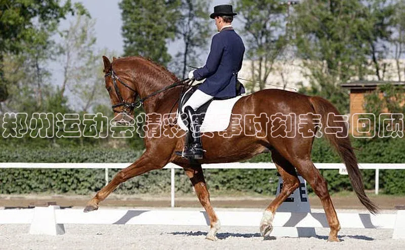 郑州运动会精彩赛事时刻表与回顾