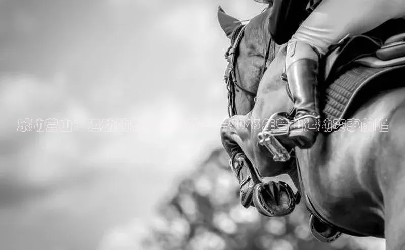 qm球盟会·(中国)网页登录