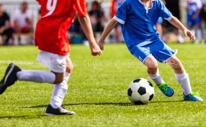 2025哈尔滨运动会：引领未来运动的潮流与梦想之旅