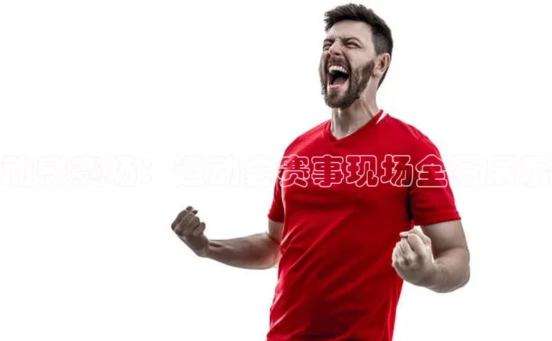 动感赛场：运动会赛事现场全景展示