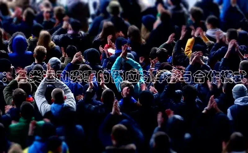 ：各类运动赛事的供应商阵容与合作模式