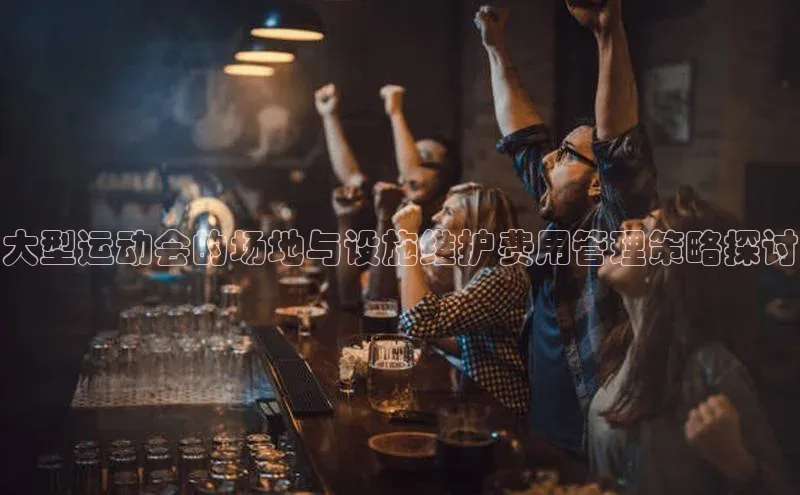 大型运动会的场地与设施维护费用管理策略探讨