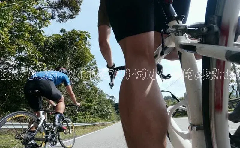 挑战与荣耀：双百赛事中运动小健将的风采展现